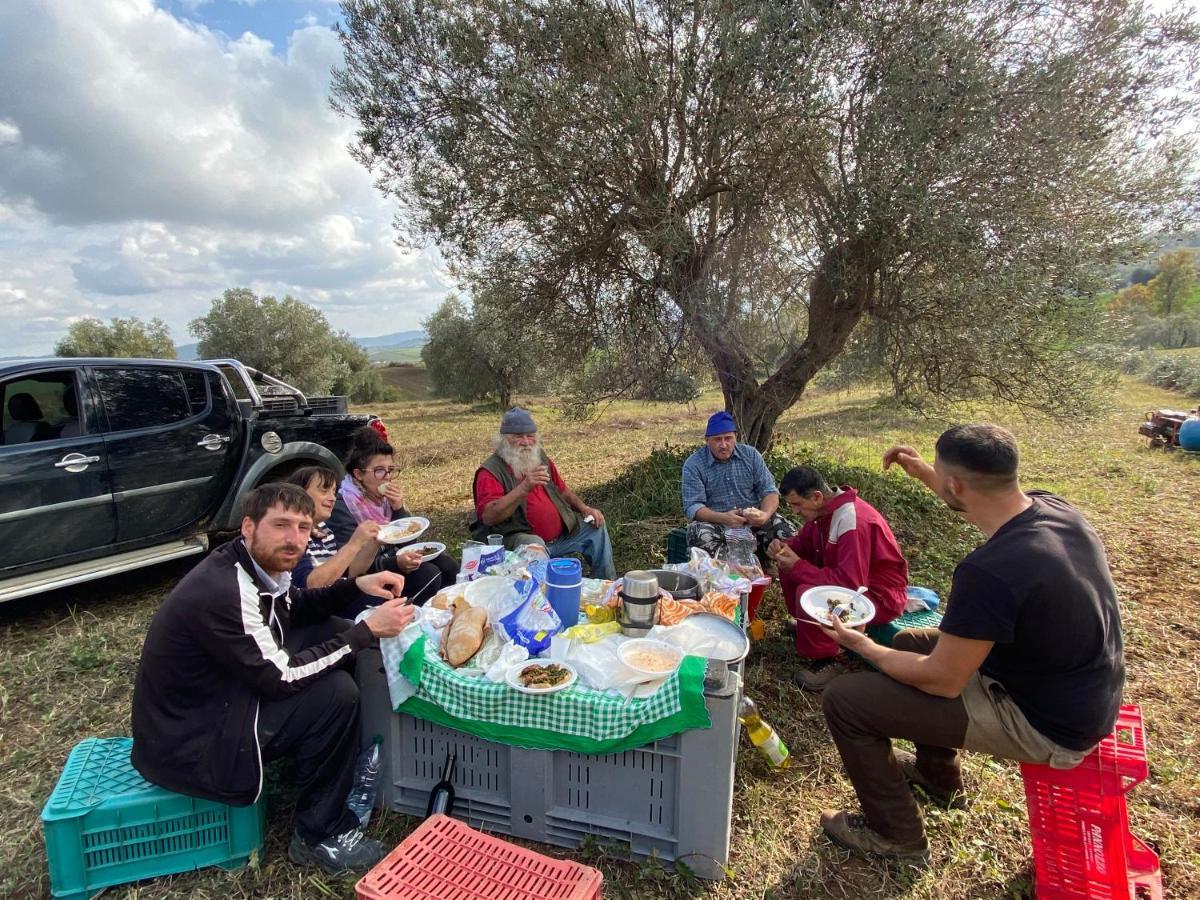 Rocchette di Fazio Agriturismo La Conserva المظهر الخارجي الصورة