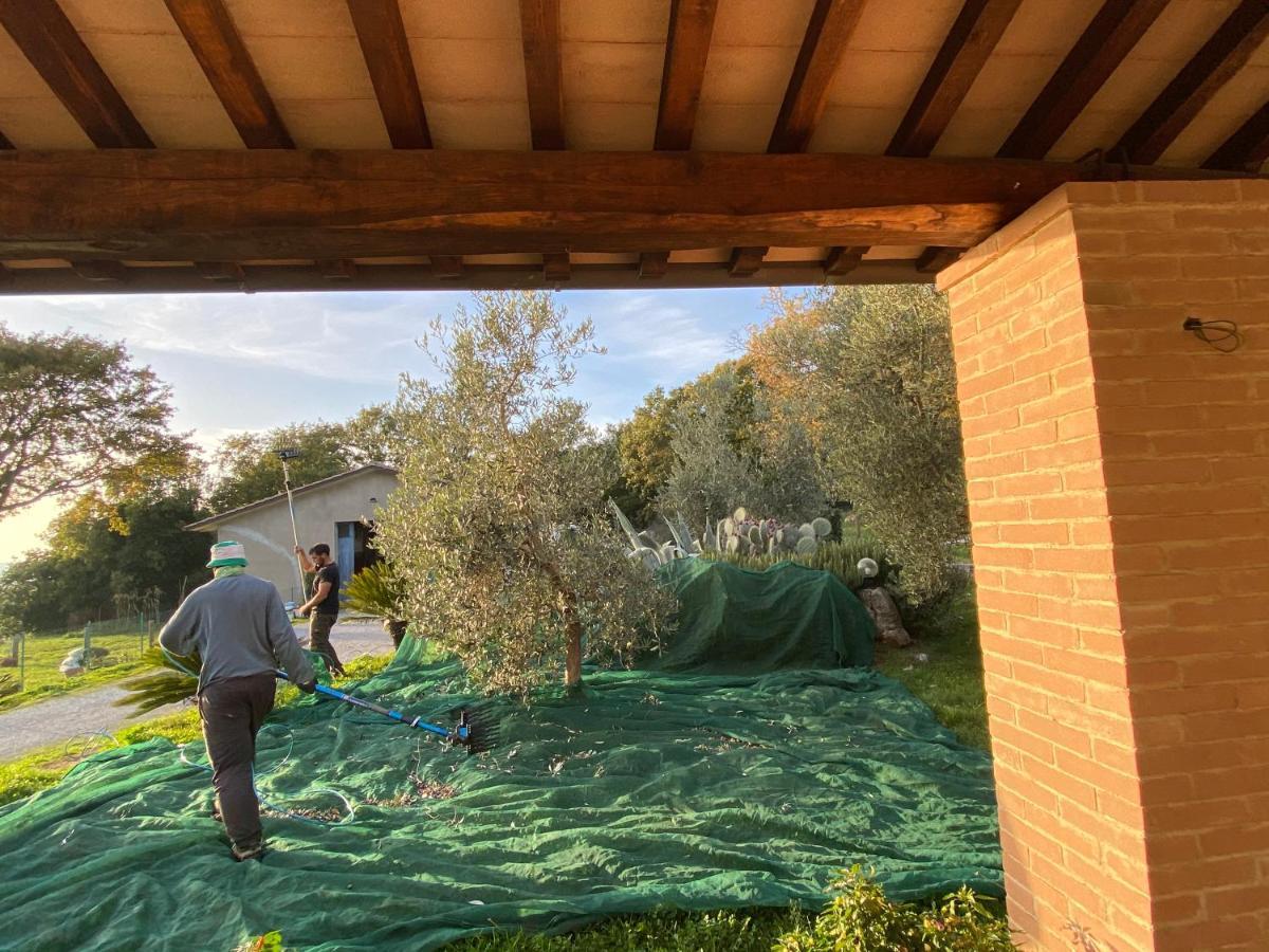 Rocchette di Fazio Agriturismo La Conserva المظهر الخارجي الصورة