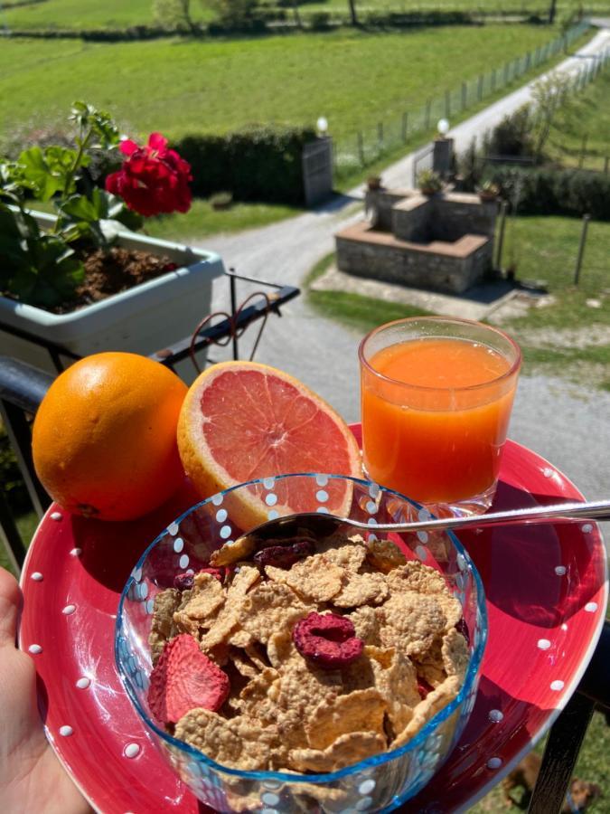 Rocchette di Fazio Agriturismo La Conserva المظهر الخارجي الصورة