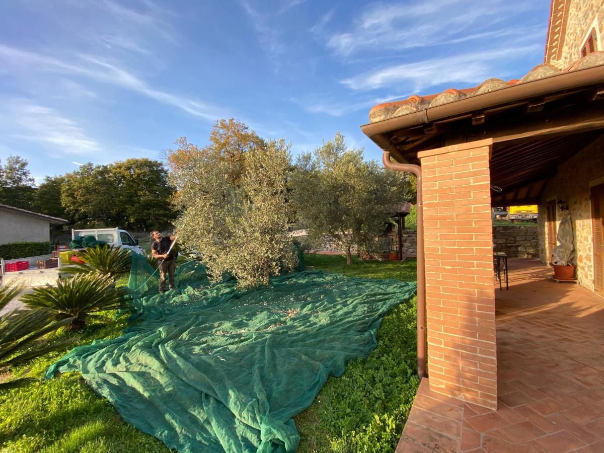 Rocchette di Fazio Agriturismo La Conserva المظهر الخارجي الصورة