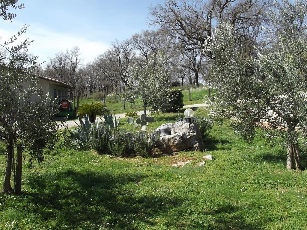 Rocchette di Fazio Agriturismo La Conserva المظهر الخارجي الصورة