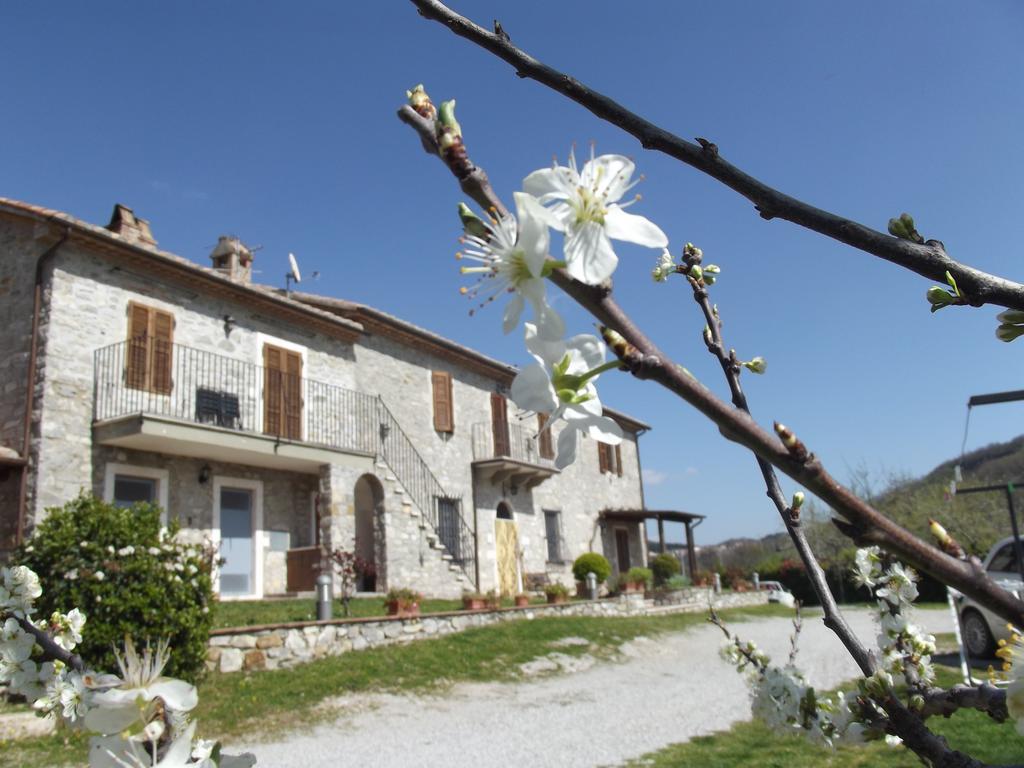 Rocchette di Fazio Agriturismo La Conserva المظهر الخارجي الصورة